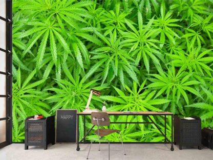 Cannabis Wallpaper, as seen on the wall of this office, is a leaf mural with green, slender sativa marijuana plants from About Murals.