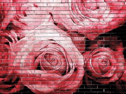 Graffiti Flower Wallpaper is a floral mural with painted dark pink roses on a black brick wall from About Murals.