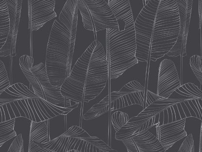 Grey Banana Leaf Wallpaper features tropical leaves full of texture on a dark gray background from About Murals.
