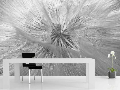 Large Dandelion Wallpaper, as seen on the wall of this office, is a photo mural of grey, fluffy dandelion seeds from About Murals.