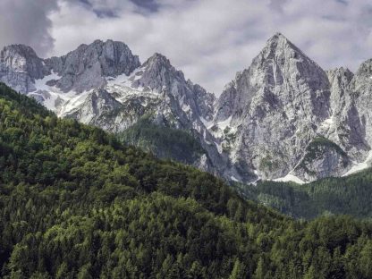 Alp Mountain is a photo mural of Mount Spik, Triglad National Park, Slovenia from About Murals.