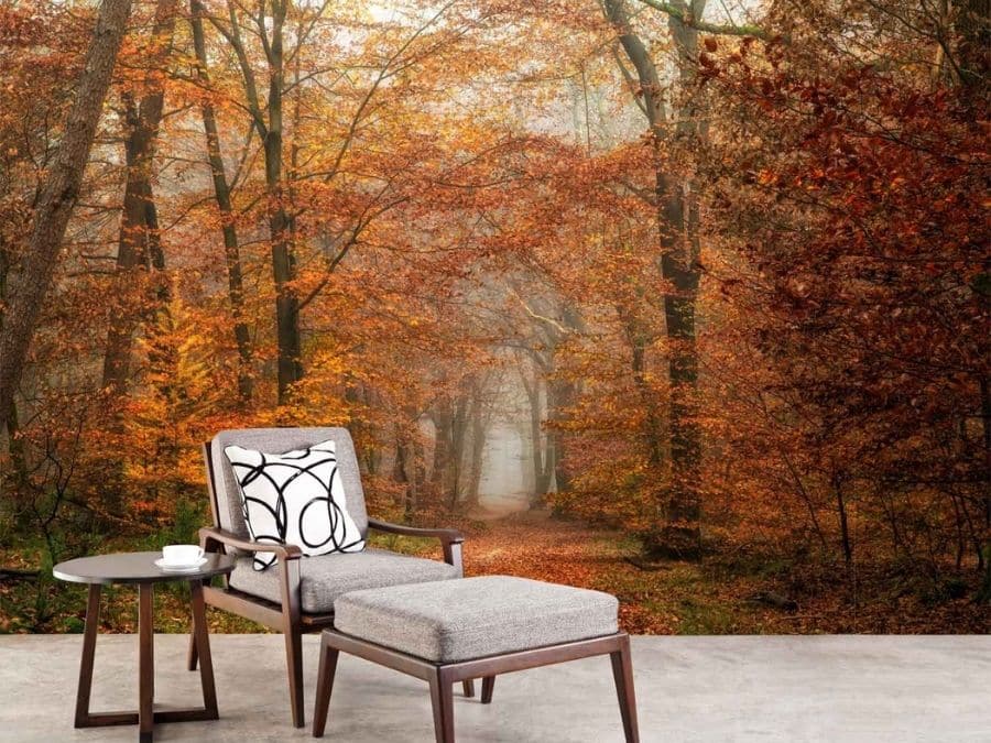 Autumn Wallpaper, as seen on the wall of this forest themed spa, is a photo mural of arched orange trees over a trail in a forest from About Murals.
