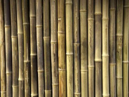 Bamboo Stick Wallpaper is a photo mural of oversized brown bamboo stems full of natural texture from About Murals.