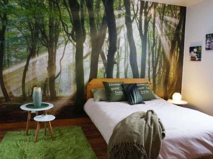 Calming Forest Wallpaper, as seen on the wall of this customer’s bedroom, is a wall mural of sunrays shining through trees in the woods from About Murals.