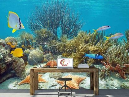 Coral Reef Wallpaper, as seen on the wall of this underwater themed room, is a photo mural of blue and yellow tropical fish, jelly fish and coral swimming in the ocean from About Murals.
