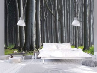 Dark Forest Wallpaper, as seen on the wall of this charcoal bedroom, is a photo mural of mysterious beech trees in grass against a black background from About Murals.