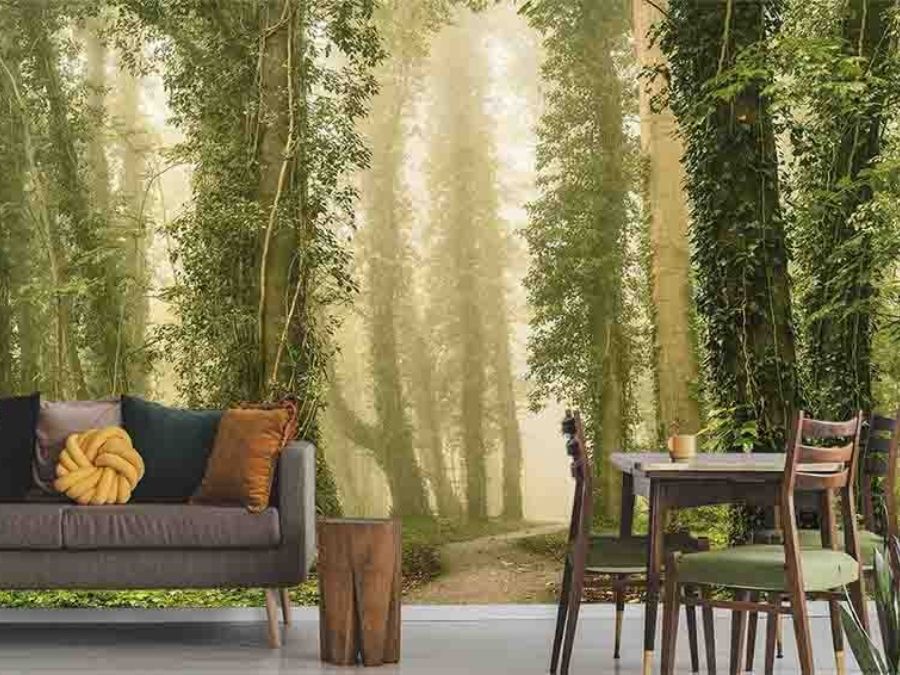 Dense Forest Wallpaper, as seen on the wall of this living room, is a photo mural of a walkway meandering through vine-covered trees to a misty background from About Murals.