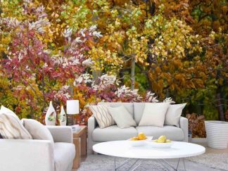 Fall Leaves Wallpaper, as seen on the wall of this living room, is a photo mural of red, orange and yellow beech trees blowing in an autumn wind from About Murals.