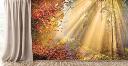 Fall Wallpaper, as seen on the wall of this nature themed room, is a photo mural with sunbeams on a colorful autumn forest from About Murals.
