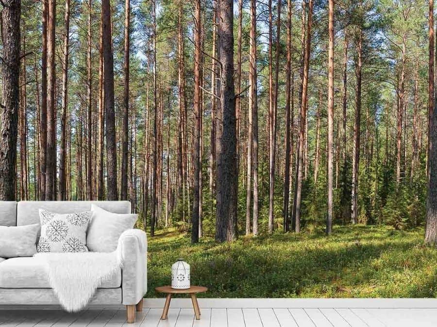 Fir Wallpaper, as seen on the wall of this forest themed living room, is a photo mural of tall fir trees and shorter pine trees from About Murals.