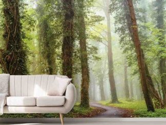 Forest Theme Wallpaper, as seen on the wall of this living room, is a photo mural of a walkway meandering under vine-covered trees in a foggy forest from About Murals.