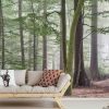 Green Mist Wallpaper, as seen on the wall of this living room, is a photo mural of moss covered trees in a foggy forest from About Murals.
