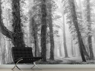Monochrome Forest Wallpaper, as seen on the wall of this living room, is a black and white photo mural of vine covered trees in a misty forest from About Murals.