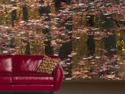Red Leaves Wallpaper, as seen on the wall of this living room, is a photo mural of autumn leaves floating on water with a dark forest reflected in the background from About Murals.