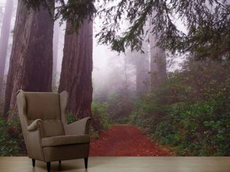 Redwood Wallpaper, as seen on the wall of this forest living room, is a photo mural of immense sequoia trees against a foggy background in Redwood National Park, California sold by About Murals.