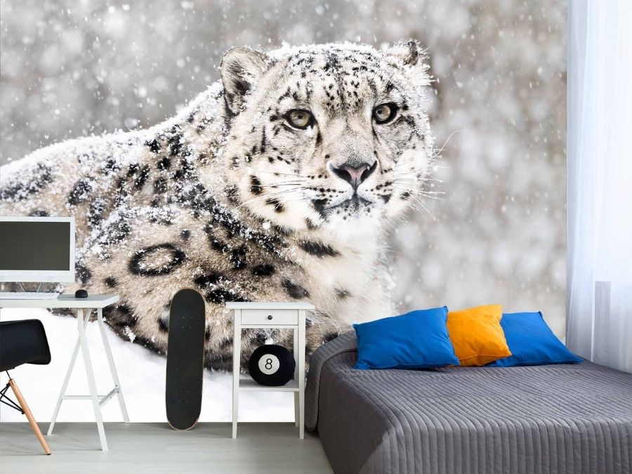 Snow Leopard Wallpaper, as seen on the wall of this bedroom, is a photo mural of a large white cat in winter from About Murals.