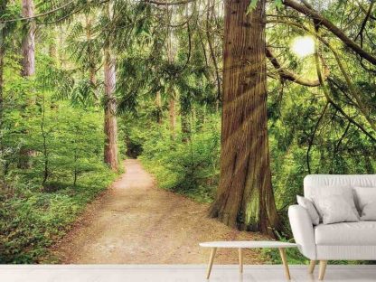Summer Forest Wallpaper, as seen on the wall of this living room, is a photo mural of sunbeams shining through green trees in a forest over a trail from About Murals.