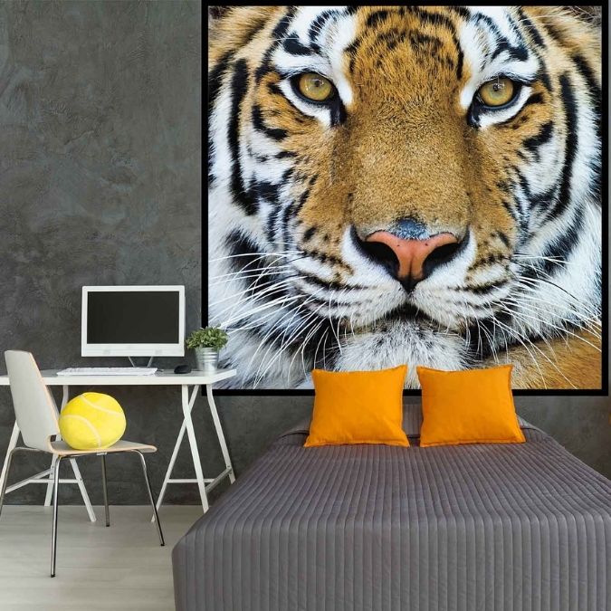Tiger Wallpaper, as seen on the wall of this animal themed bedroom, is a photo mural of a Bengal Tiger face from About Murals.