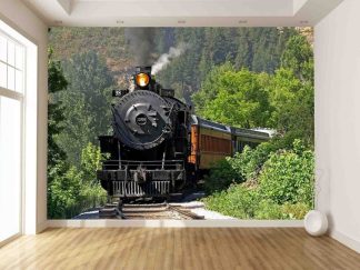Train Wallpaper, as seen on the wall of this bedroom, is a transportation mural of steam train 1068 rounding the bend of a railway track against a nature scene of pine trees and green foliage from About Murals.