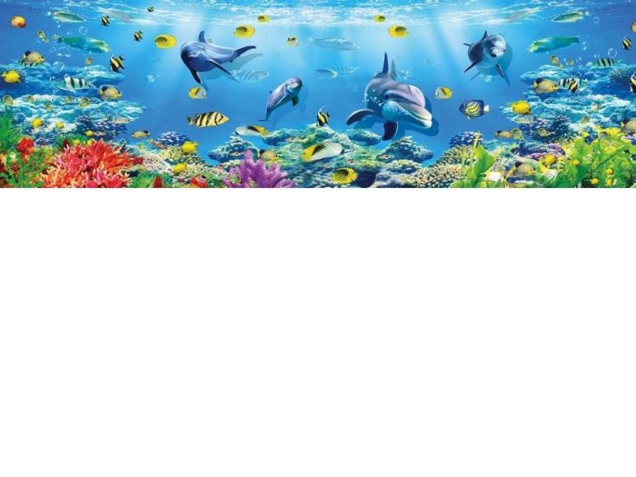 Under the Sea Wallpaper is a kids mural of the seabed with fish and dolphins from About Murals.