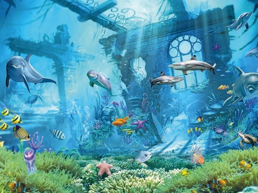 underwater wallpapers