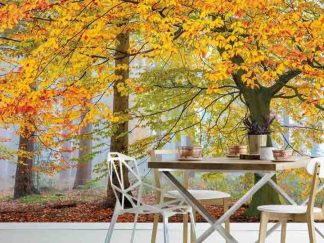 Fall Forest Wallpaper, as seen on the wall of this autumn dining room, is a photo mural of yellow trees in an autumn foggy forest from About Murals.