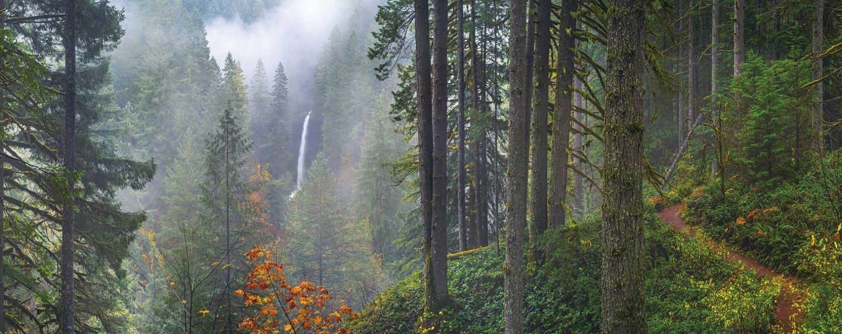 Oregon Nature Wallpapers - Top Free Oregon Nature Backgrounds -  WallpaperAccess