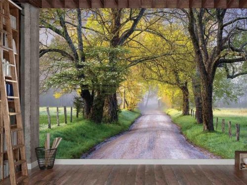 Road Tree Wallpaper, as seen on the wall of this room, is a photo mural of a street stretching under an arch of yellow autumn trees towards a foggy background from About Murals.