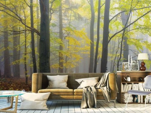 Yellow Autumn Wallpaper, as seen on the wall of this bedroom, is a photo mural of trees in a fall forest against a grey foggy background from About Murals.