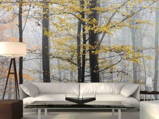 Yellow Trees Wallpaper, as seen on the wall of this fall living room, is a photo mural of autumn Beech and Oak trees against a grey foggy background from About Murals.