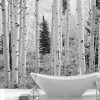Aspen Wallpaper, as seen on the wall of this bathroom, is a black and white photo mural of white aspen trees in a Colorado forest from About Murals.