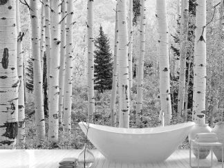 Aspen Wallpaper, as seen on the wall of this bathroom, is a black and white photo mural of white aspen trees in a Colorado forest from About Murals.