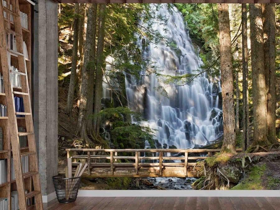 Pine Forest Wallpaper, as seen on the wall of this office, is a photo mural of waterfalls cascading down rocks under a wood bridge surrounded by sun covered pine trees from About Murals.