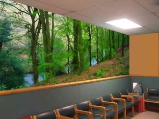 Ireland Forest Wallpaper, as seen in the waiting room of this hospital, is a photo mural of a stream flowing past green trees in the woods from About Murals.