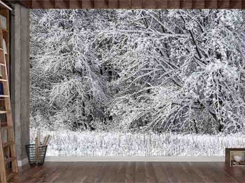 Snow Forest Wallpaper, as seen on the wall of this room, is a photo mural of white snowy tree branches from About Murals.