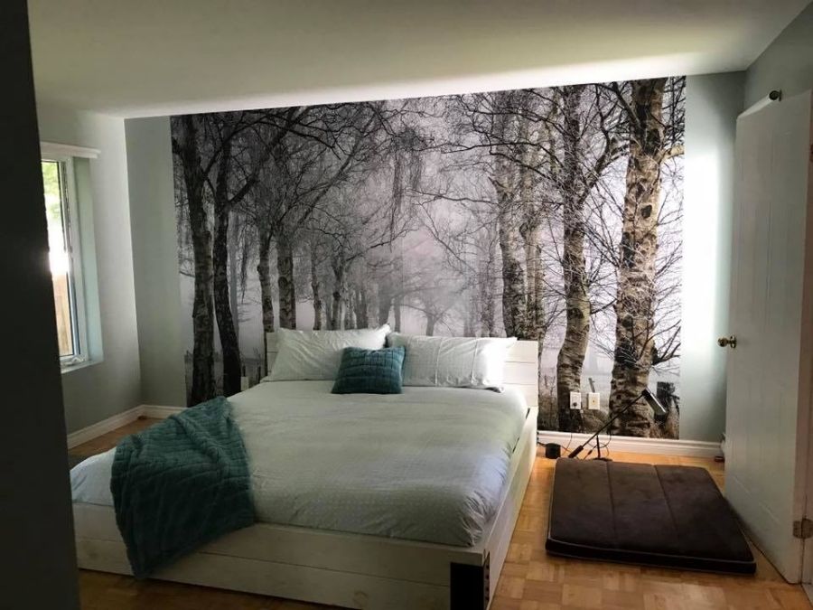 Winter Birch Trees Wallpaper, as seen on the wall of this bedroom, is a photo wall mural of frozen birches from About Murals.
