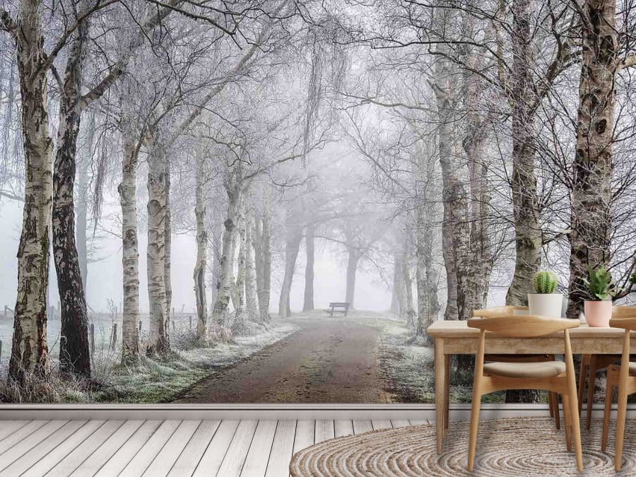 Winter Birch Trees Wallpaper, as seen on the wall of this cafe dining room, is a modern photo mural of grey ice covered birch trees lining a forest path dusted with snow from About Murals.
