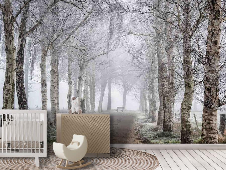 Winter Birch Trees Wallpaper, as seen on the wall of this nursery, is a photo wall mural of a snow dusted path meandering under black and white silver birch trees in nature from About Murals.