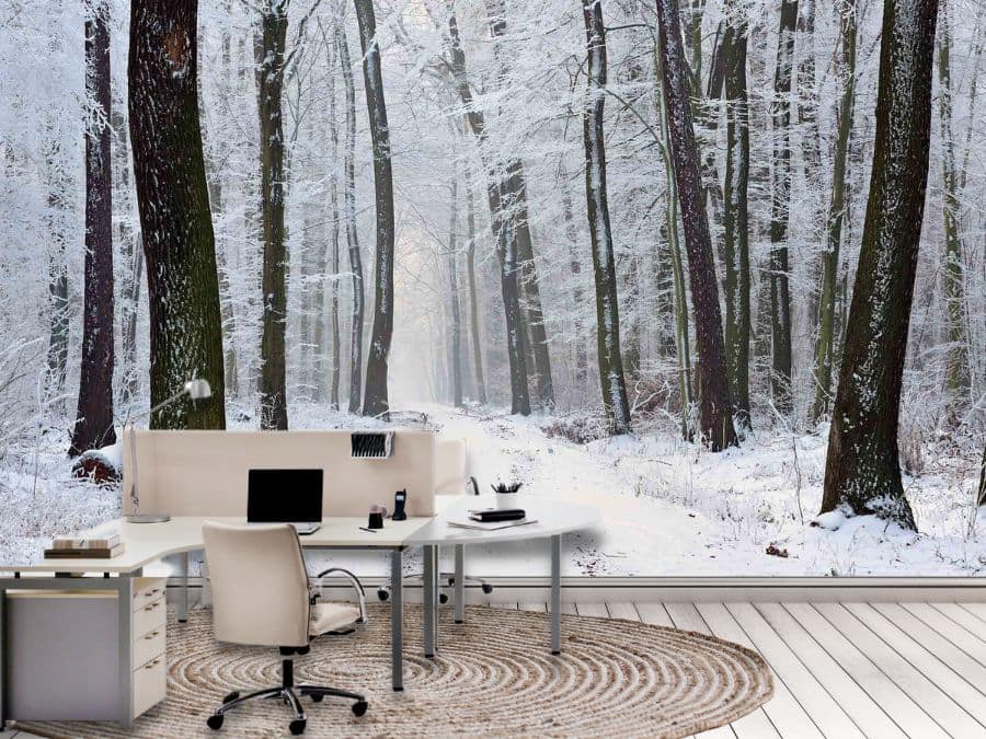 Winter Path Wallpaper, as seen on the wall of this office, is a photo mural of snow covered trees in a winter wonderland from About Murals.