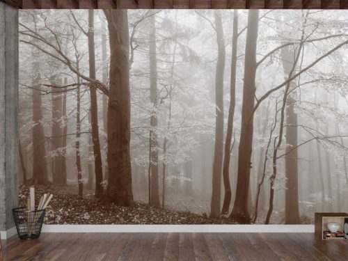 Autumn Mist Wallpaper, as seen on the wall of this library, is a photo mural of brown majestic trees in a foggy forest from About Murals.