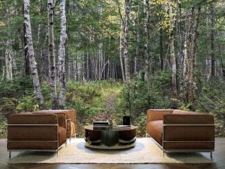 Birch Forest Wallpaper, as seen on the wall of this living room, is a photo mural of a path winding under birch trees from About Murals.