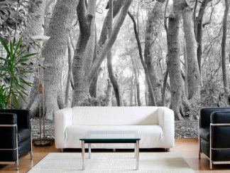Black and White African Forest Wallpaper, as seen on the wall of this living room, is a photo mural of curvy trees in the woods in South Africa from About Murals.