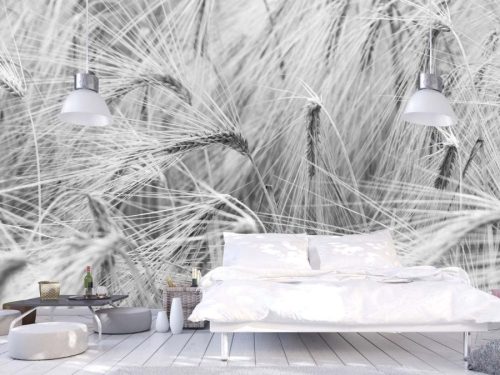 Black and White Wheat Wallpaper, as seen on the wall of this bedroom, is a photo mural of large grey wheat stems blowing in the harvest breeze from About Murals.