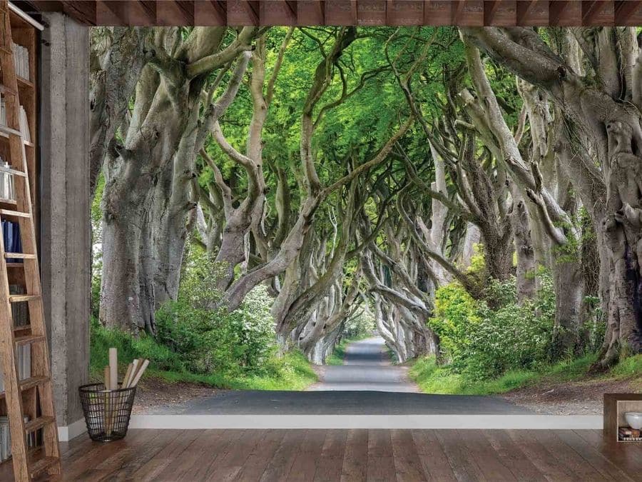 Dark Hedges Wallpaper, as seen on the wall of this library, is a photo mural of beech trees lining a road in Antrim Country, Northern Ireland from About Murals.