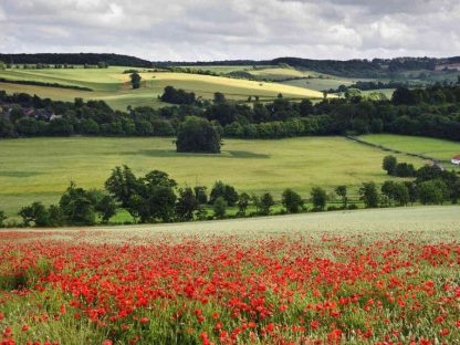 English Countryside Wallpaper is a photo wall mural of rain clouds hovering over green farm fields and red poppies in Britain from About Murals.