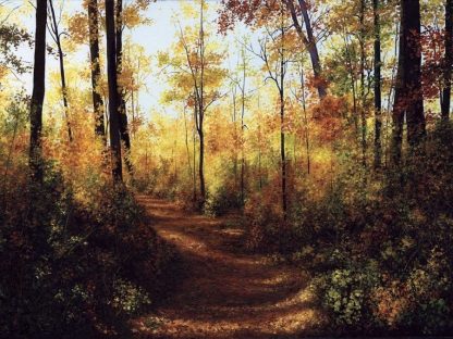 Fall Trees Wallpaper is a wall mural of a trail meandering through tall yellow trees in the woods from About Murals.