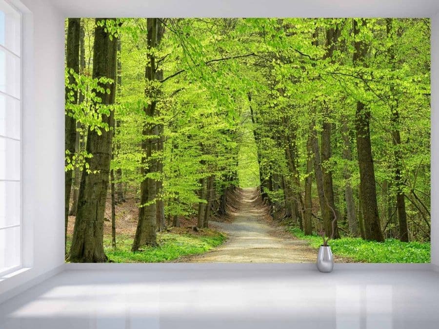 Footpath Wallpaper, as seen on the wall of this room, is a photo mural of spring trees in a forest arching over a trail from About Murals.