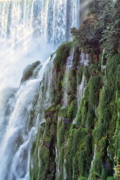 Iguazu Falls Wallpaper is a wall mural of the famous waterfall in Argentina pouring over green foliage covered stone from About Murals.