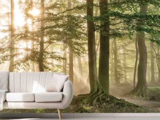 Morning Forest Wallpaper, as seen on the wall of this living room, is a photo mural of sunbeams shining on a path and trees from About Murals.