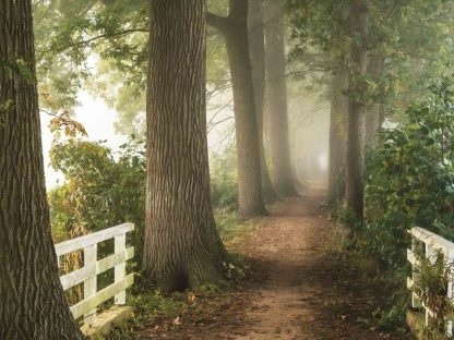 Nature Trail Wallpaper is a photo wall mural of a path in the mist from About Murals.